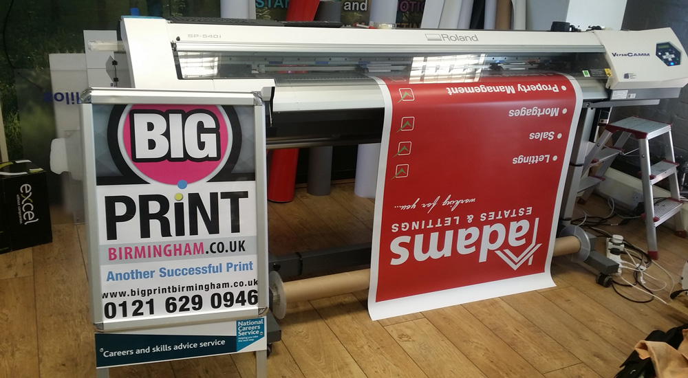 Roller Banner 6